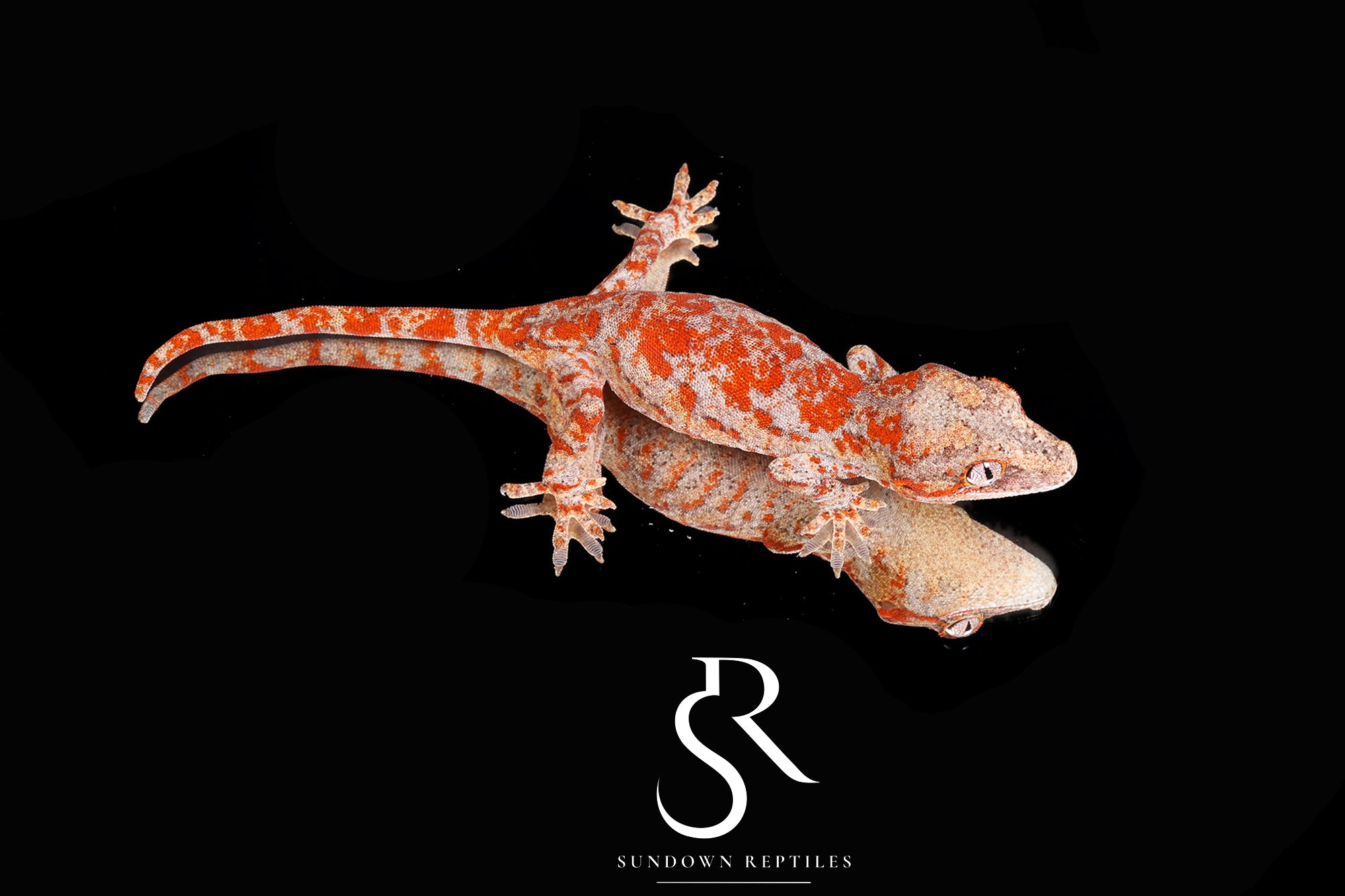 RA2025-6 Wildfire Superblotch