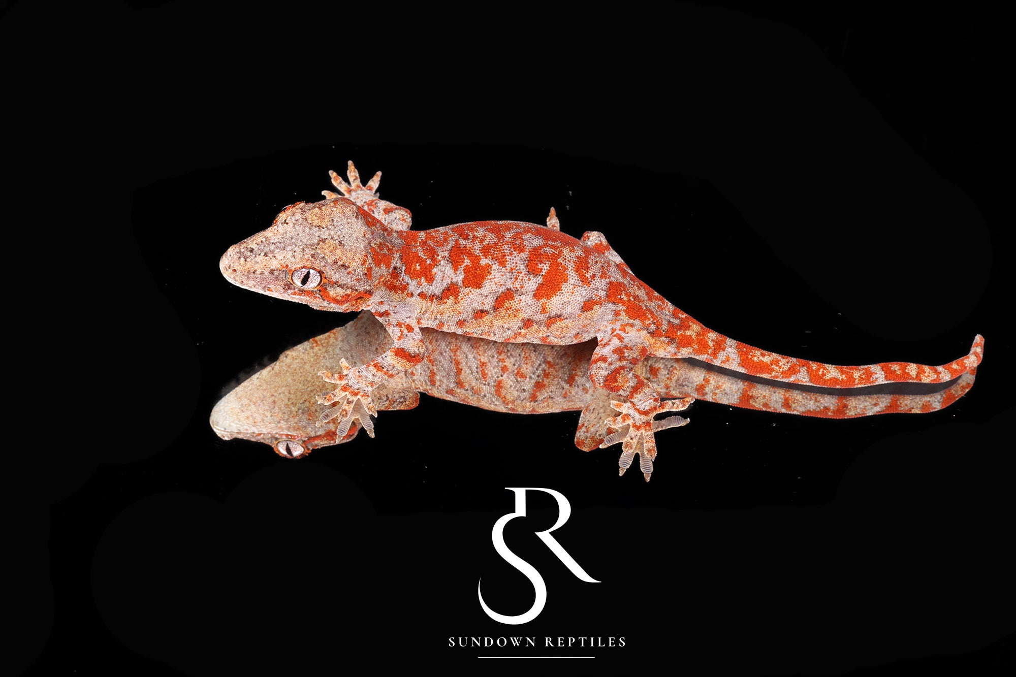 RA2025-6 Wildfire Superblotch