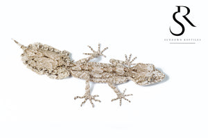 Unsexed Rough-Throated Leaf-Tailed Gecko (Saltuarius salebrosus)